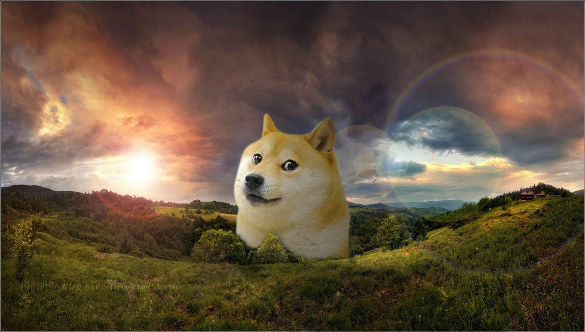 柴犬在草地上日落時分，帶有鏡頭光暈和山丘