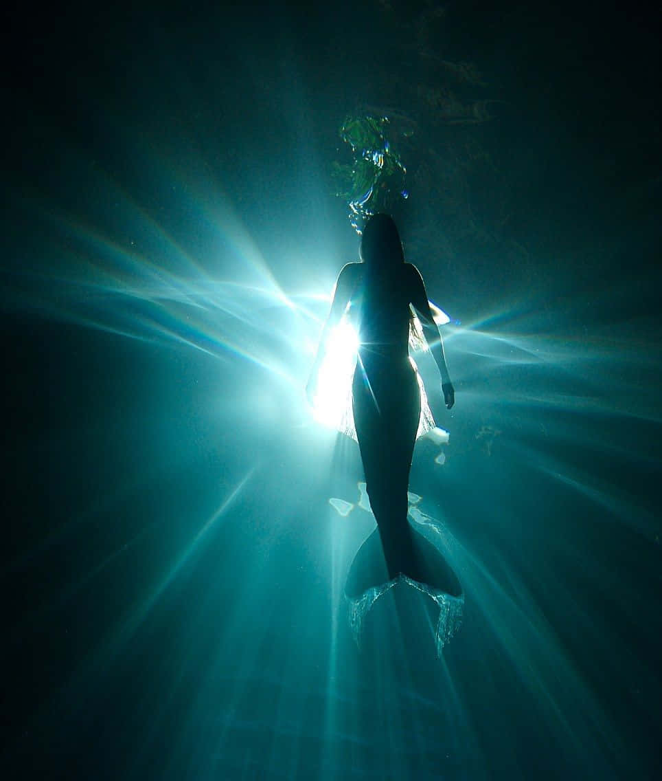 一條美人魚游向穿過海水過濾的陽光。