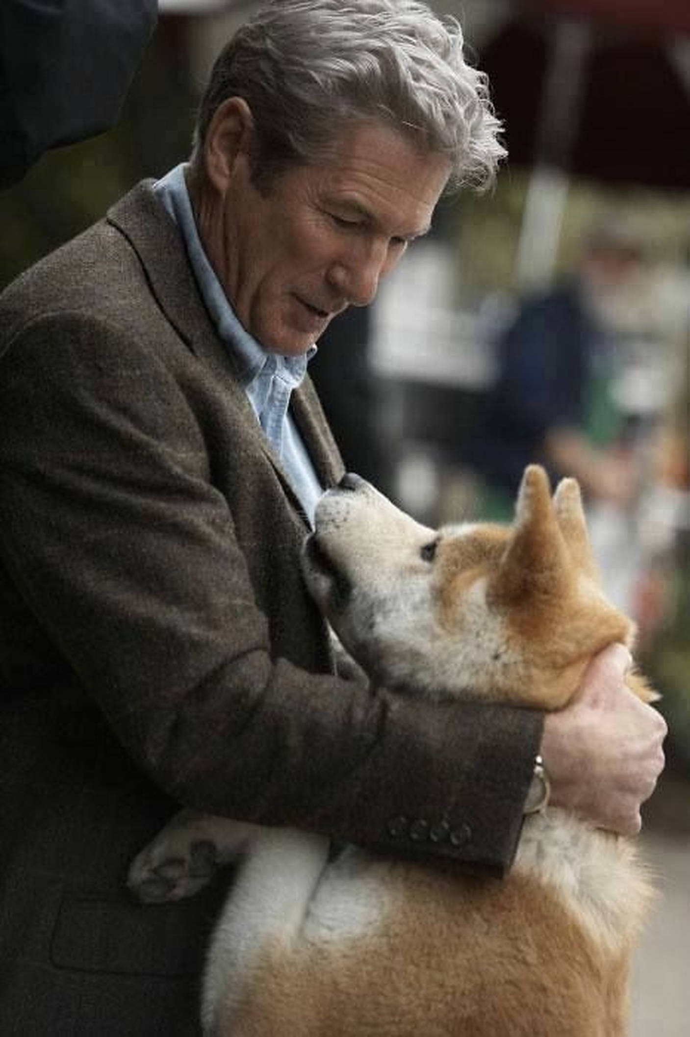 理查·基爾擁抱忠犬ハチ 壁紙 — 一位穿著棕色外套的長者，在戶外溫柔地擁抱一隻棕白色柴犬。