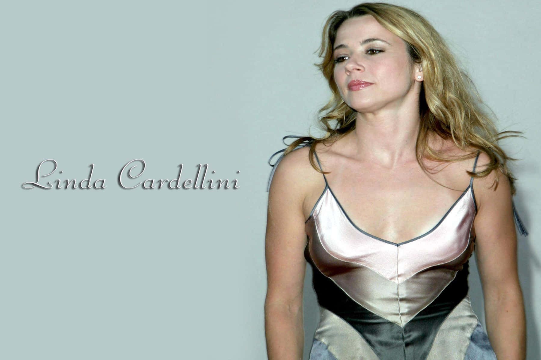 linda cardellini 桌布 壁紙 — 琳達·卡德里尼在純淺灰色工作室背景前，穿著金屬粉紅和黑色束腰上衣擺姿勢。