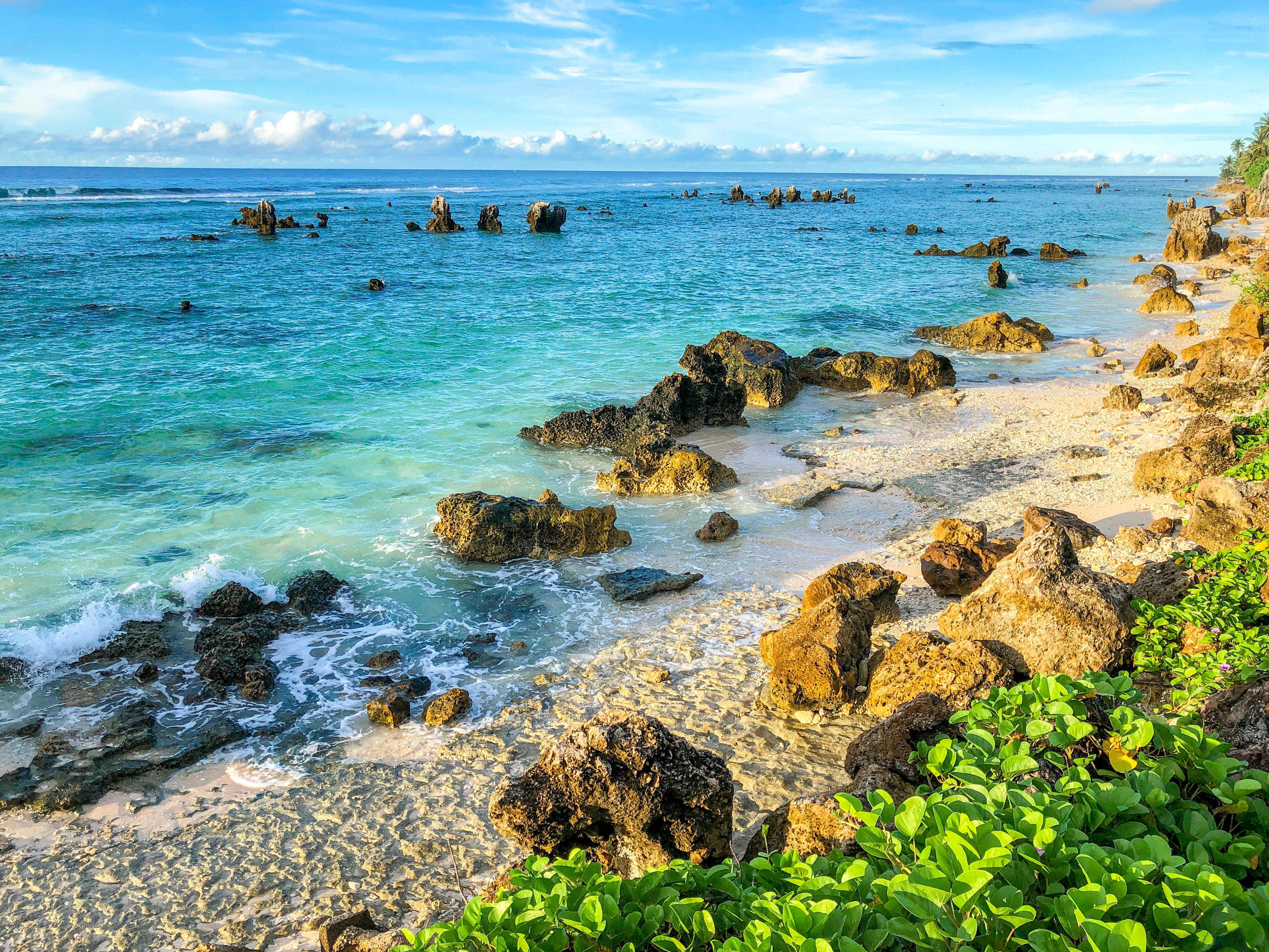 瑙魯岩石海灘 壁紙 — 在明亮的藍天下，綠松石色的海浪拍打著陽光明媚的岩石海岸，前景是茂密的綠色植物。