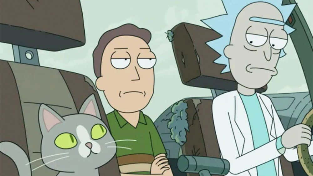 The Council Of Ricks 桌布 壁紙 — 瑞克和莫蒂坐在一輛破舊的車裡，乘客座位上有一隻灰色的貓，所有人都顯得無聊和疲憊。
