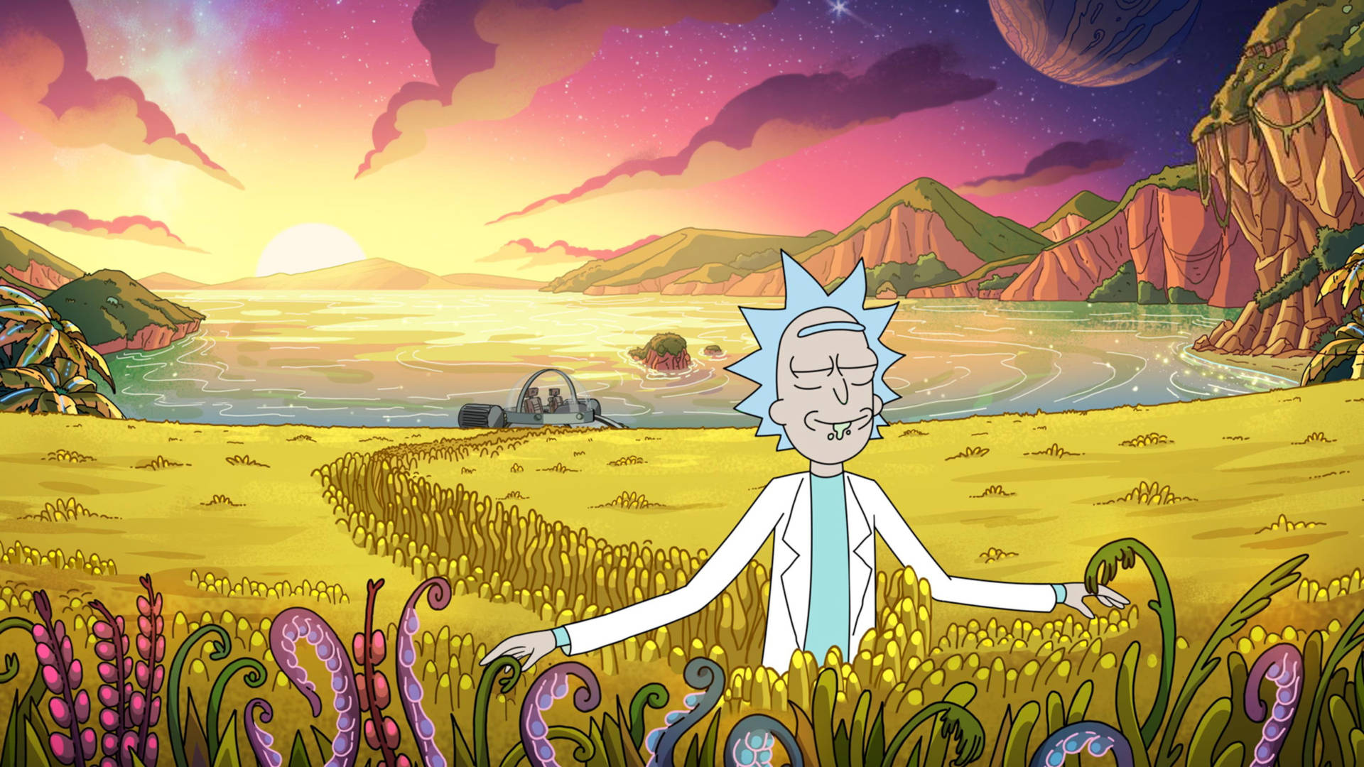 Rick Sanchez 在一個色彩繽紛的外星田野上，夕陽西下，附近有一艘太空船。