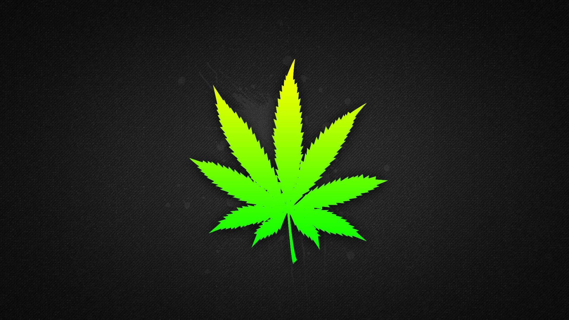 紋理黑色背景上的鮮綠色大麻葉