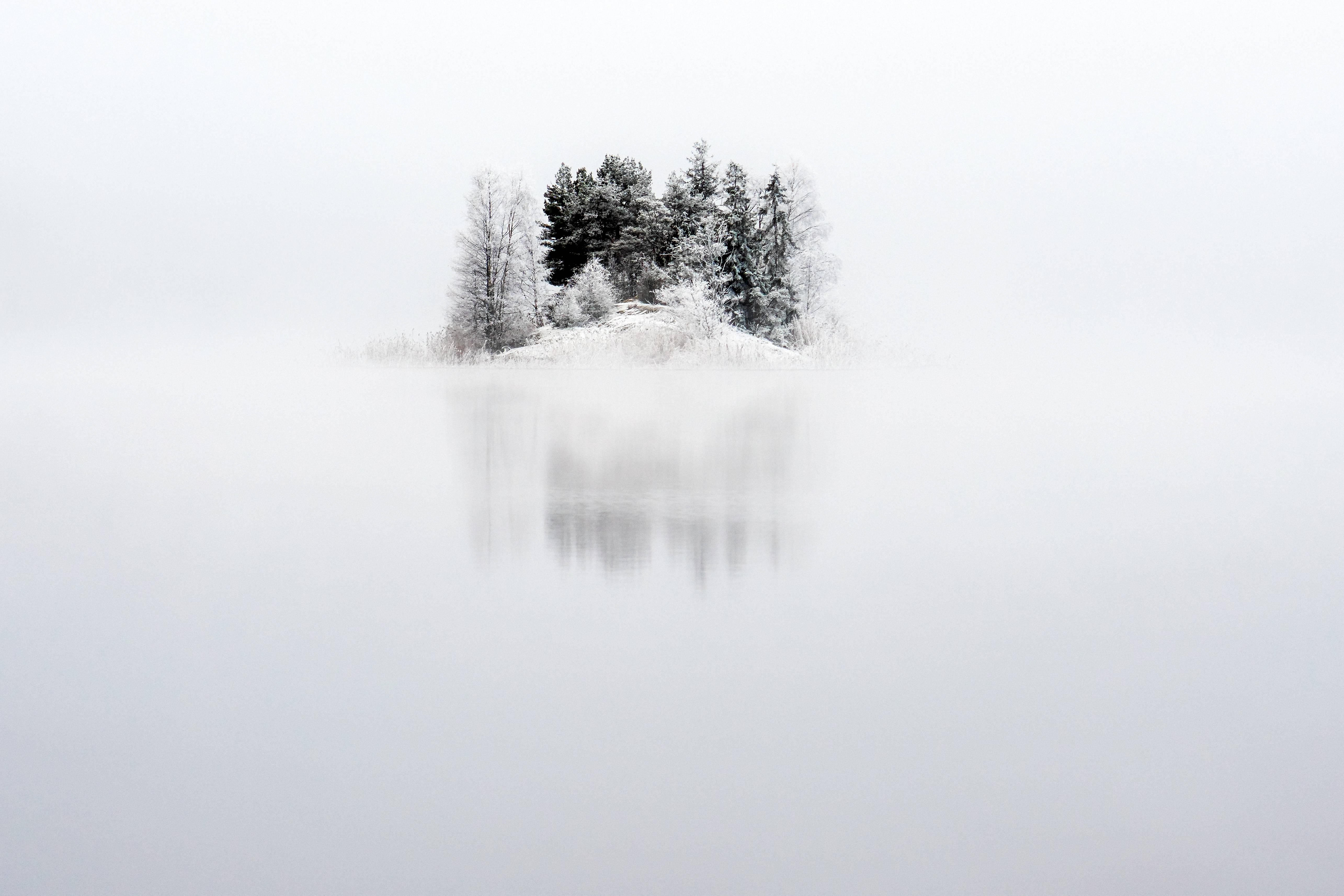 瑞典阿爾維卡冬季 壁紙 — 一個被雪覆蓋的小島，長滿常青樹，靜靜地矗立在霧氣瀰漫的湖中，倒影因霧氣而模糊。