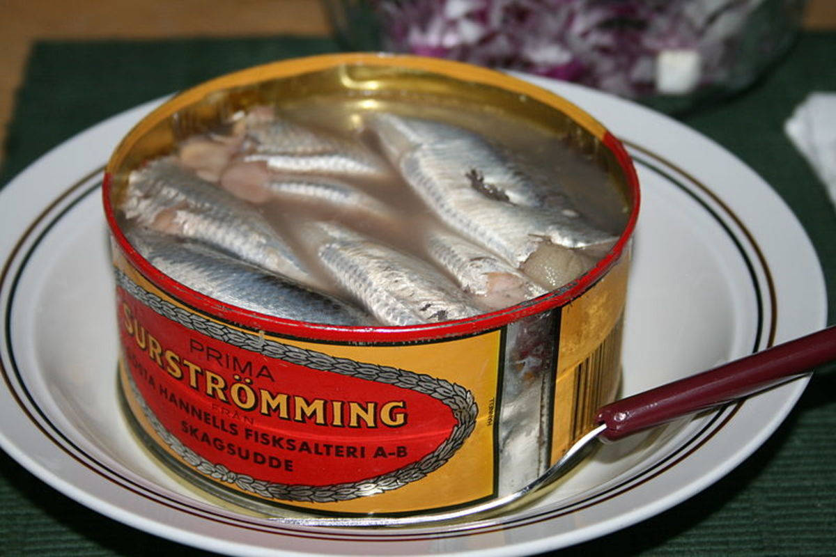 瑞典風味Tasty罐裝魚 壁紙 — 一個打開的瑞典鹽醃鯡魚罐頭放在白色碟上，旁邊有叉子。
