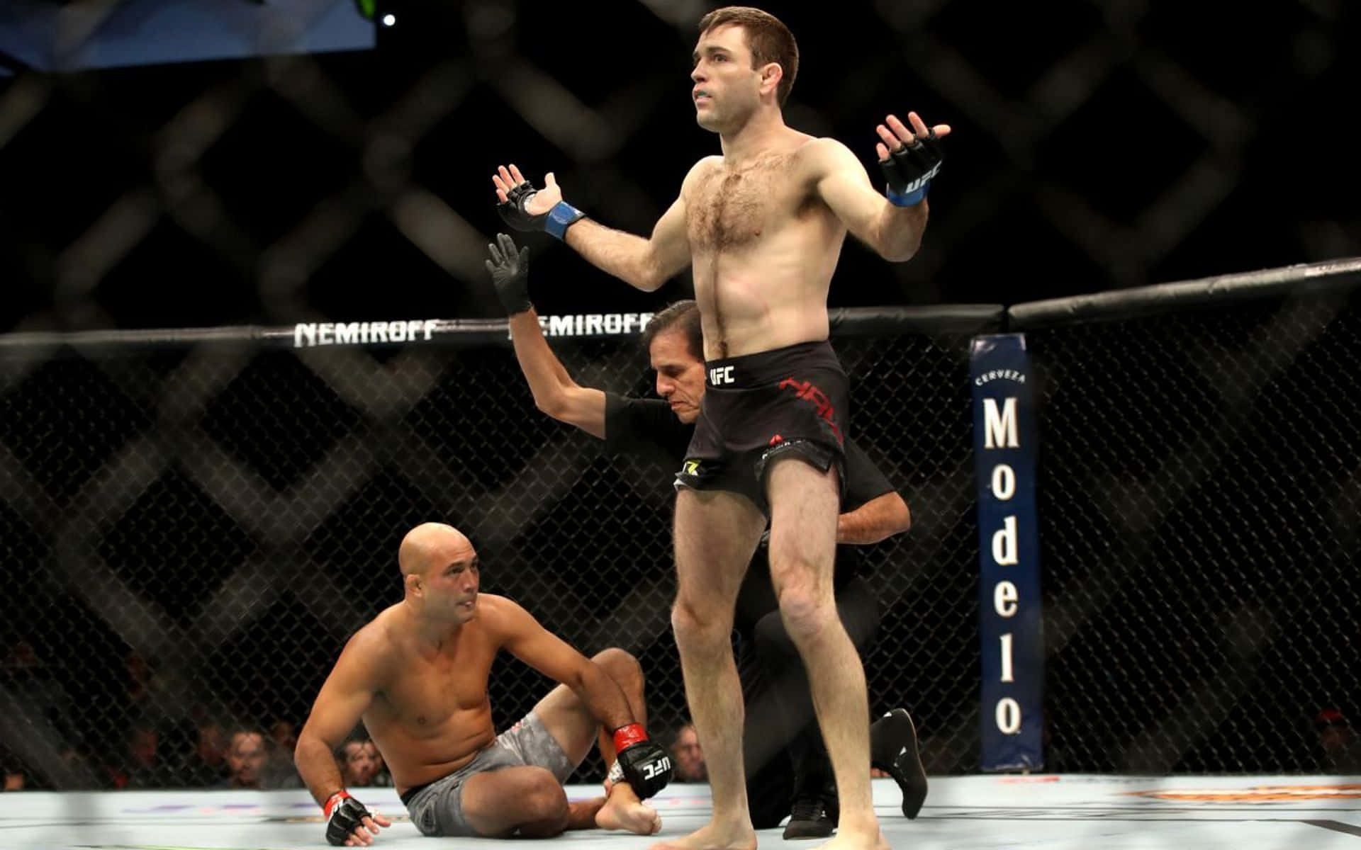 MMA拳手在八角籠中慶祝戰勝倒下的對手。