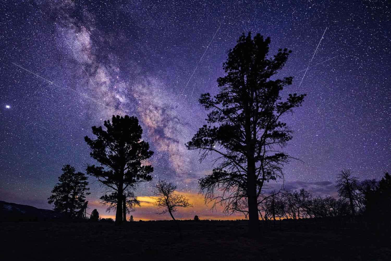 在銀河和流星下的星空中的剪影樹木。