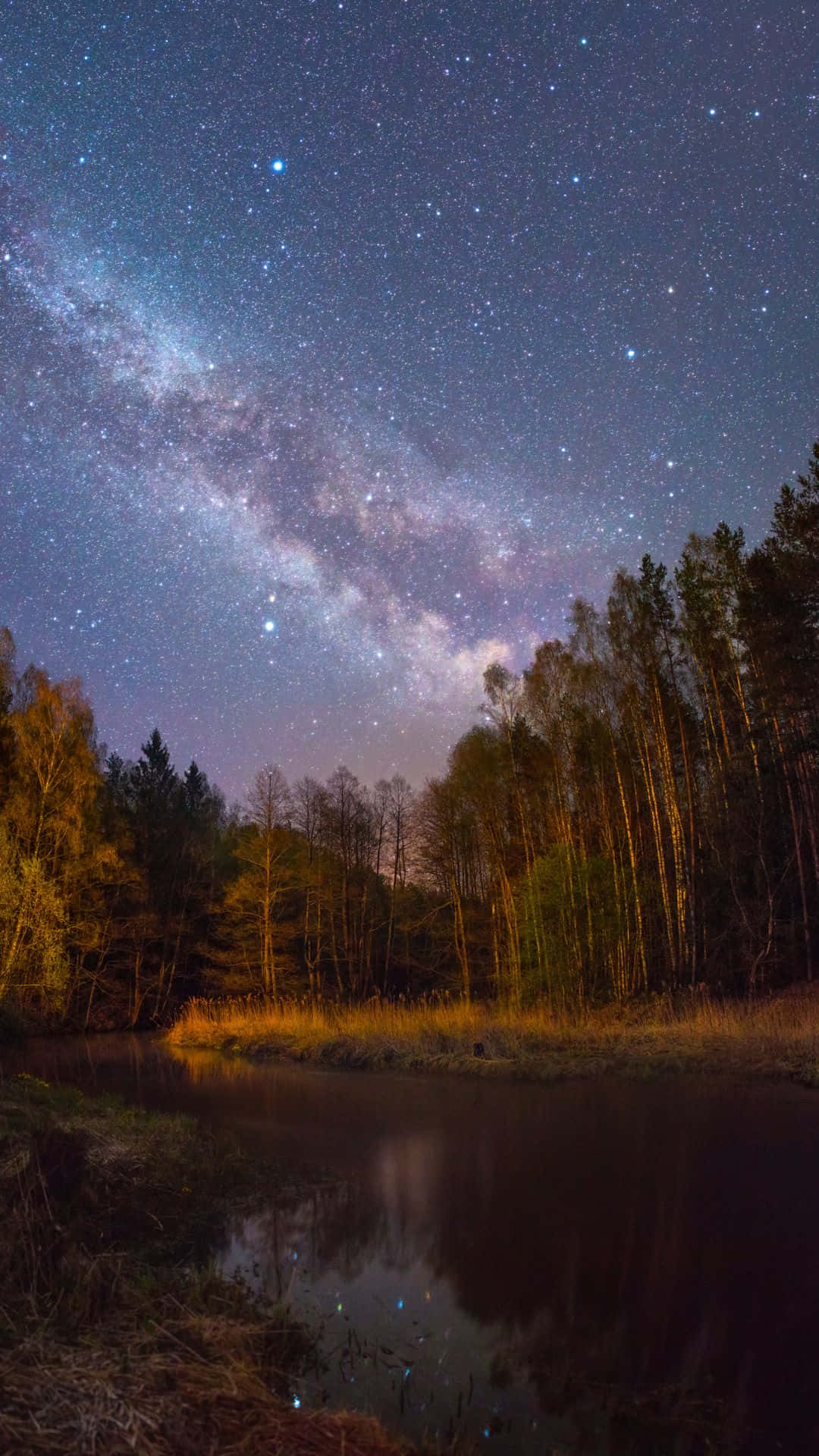銀河系在星空下反射在森林湖泊中。