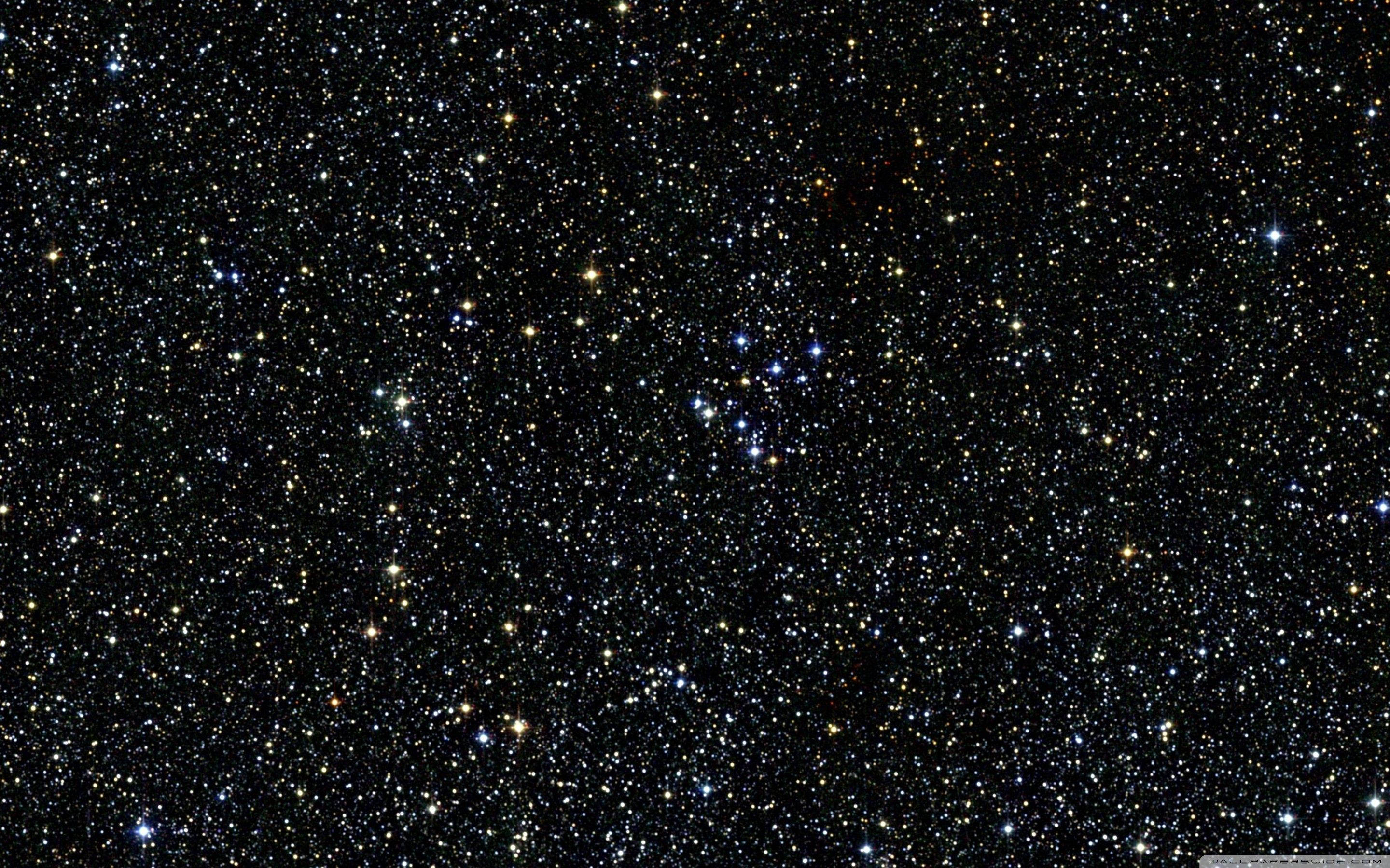 璀璨繁星夜空 壁紙 — 令人嘆為觀止的密集星場景觀，無數閃爍的星星以各種色調點綴在深邃的黑色宇宙虛空中。