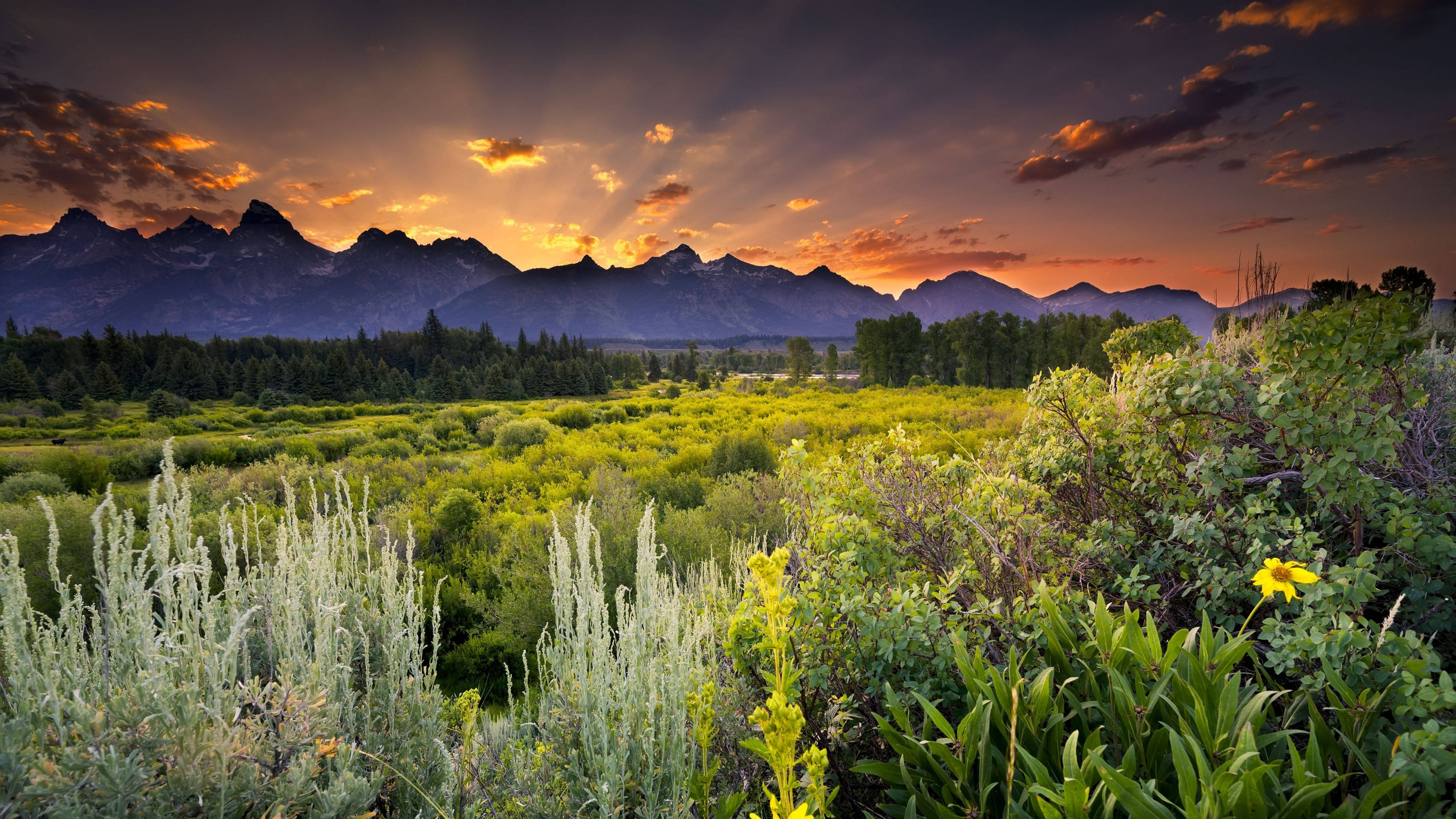環境風景 壁紙 — 夕陽穿透雲層，照耀在鋸齒狀的山峰之上，照亮了前景中野花盛開的翠綠草地。