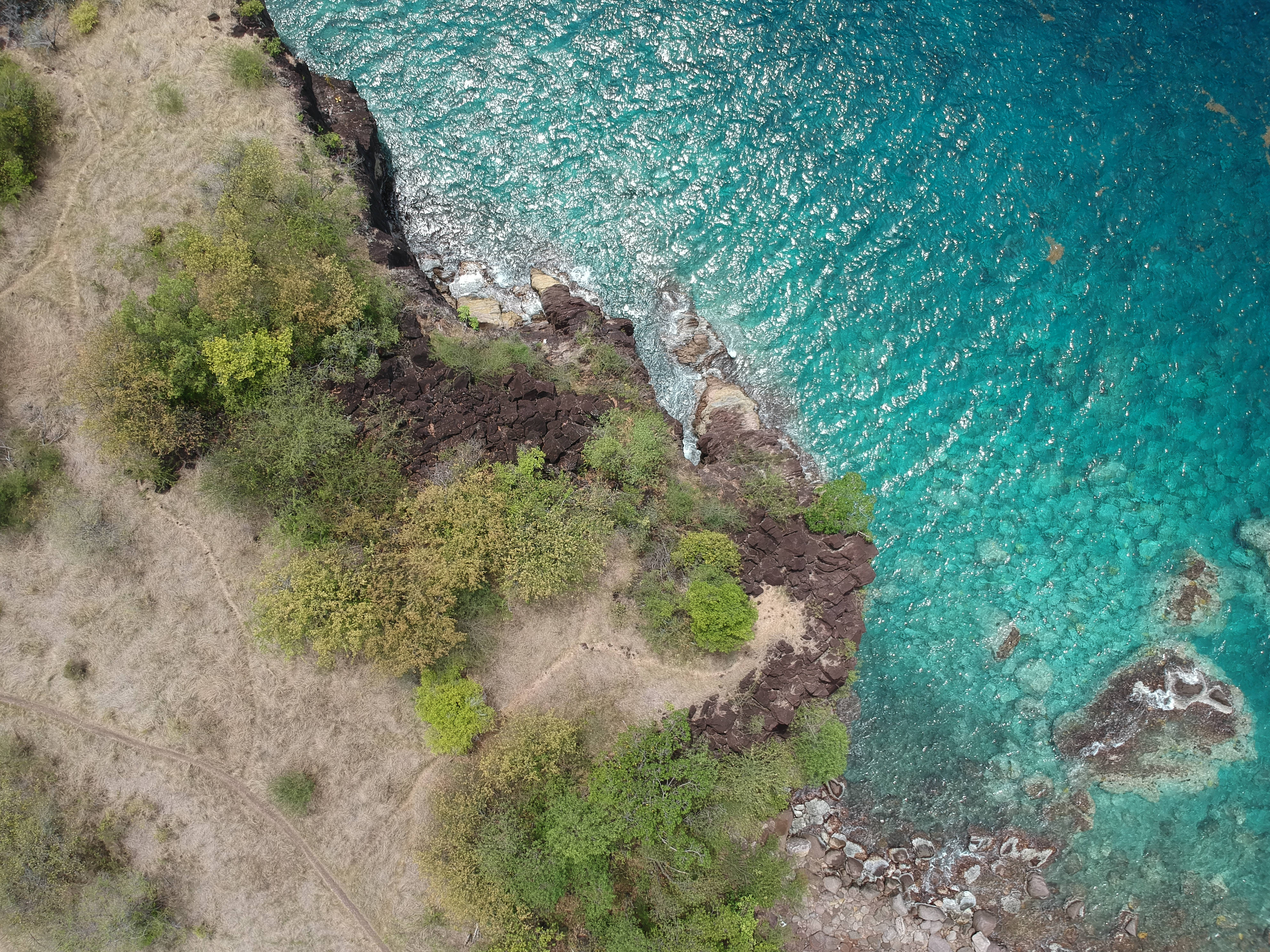瓜德羅普島藍色海水 壁紙 — 鳥瞰圖：綠松石色的海洋撞擊深色火山懸崖，乾燥土地上長有綠色灌木。