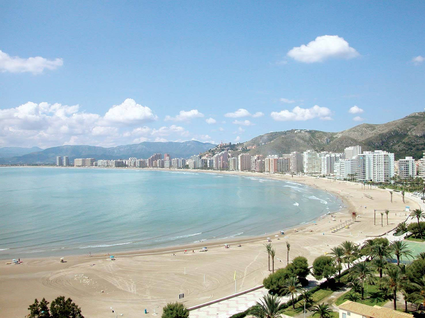 瓦倫西亞庫拉城 壁紙 — 廣闊的海岸景觀，沙灘上排列著棕櫚樹和現代建築，明亮的藍天中點綴著幾朵雲。