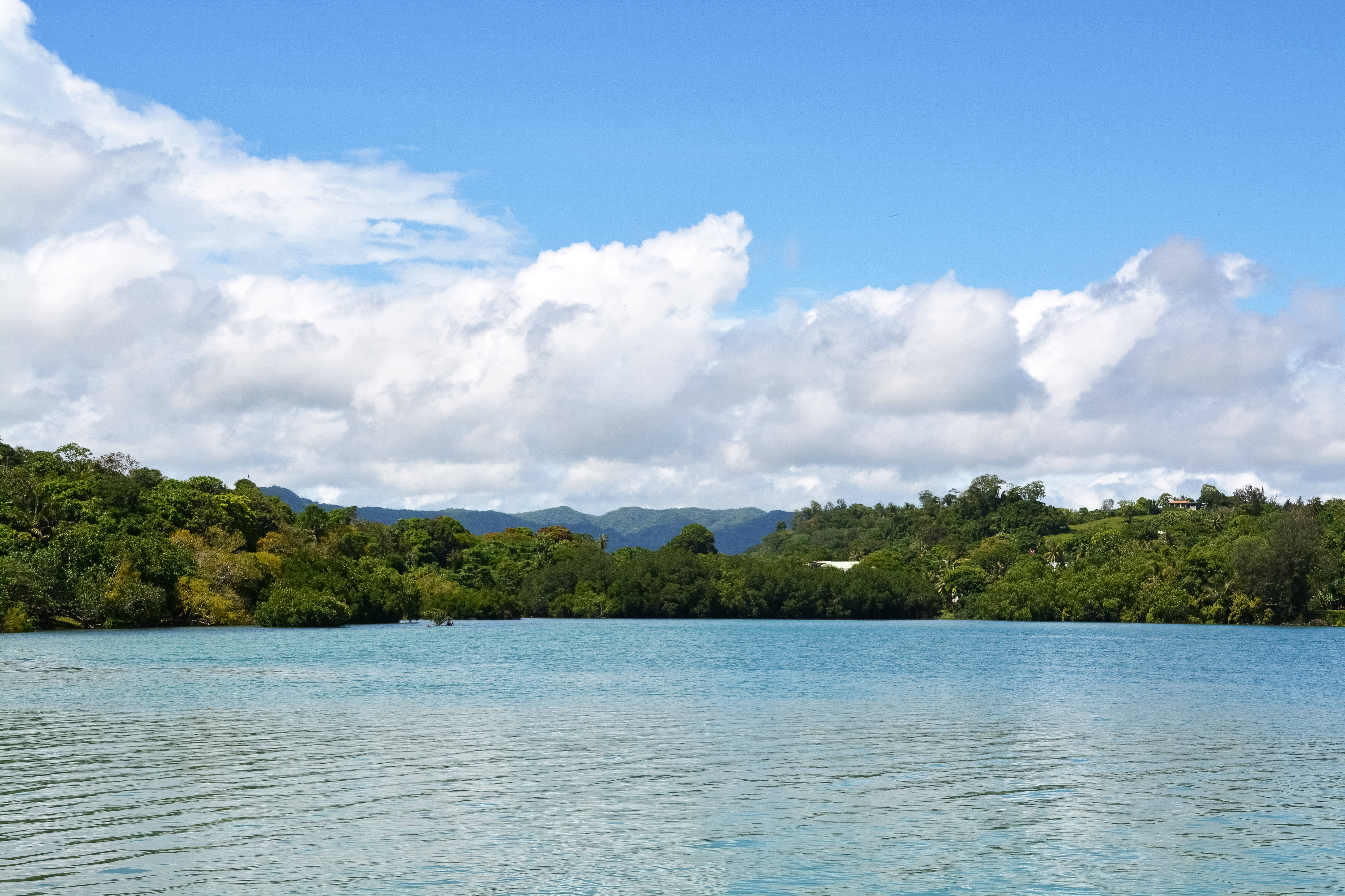 瓦努阿圖海景 壁紙 — 一個寧靜的熱帶潟湖，擁有碧綠色的水和茂密的綠色紅樹林，在明亮的藍天和蓬鬆的白雲下。