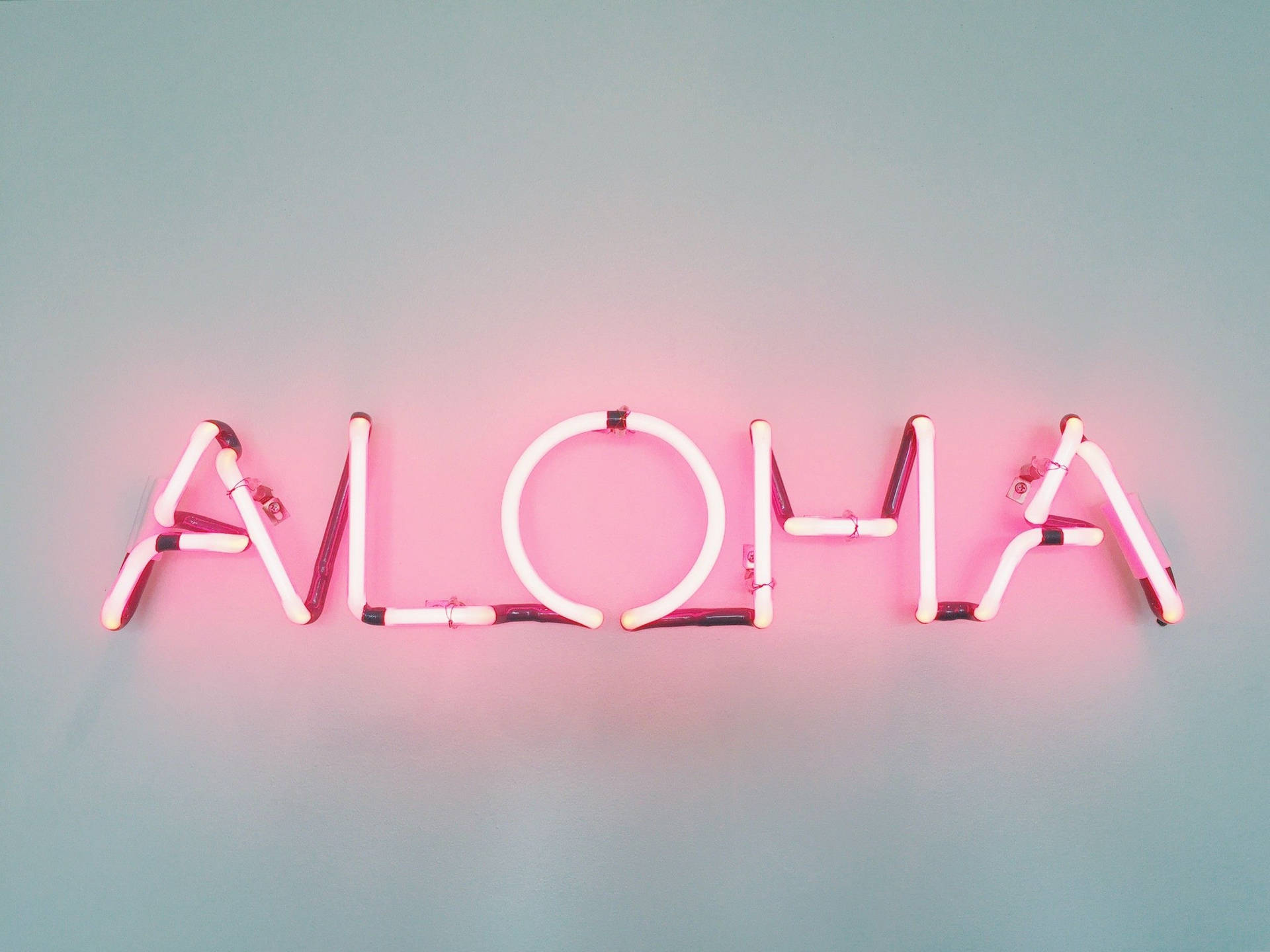 青綠色牆壁上拼寫著 aloha 的粉紅色霓虹燈牌