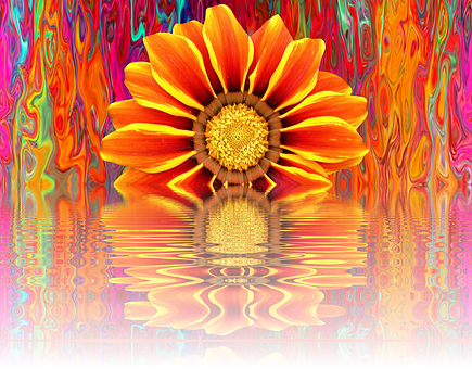 生動夏日盛放倒影