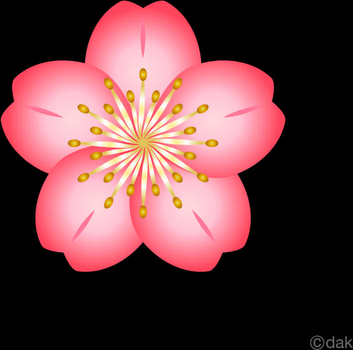 生動櫻花插畫 壁紙