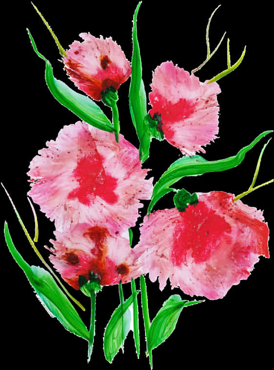 生動粉紅水彩花朵 壁紙 — 鮮豔的粉紅色罌粟花，帶有紋理花瓣和綠色莖，在純黑色背景下盛開。
