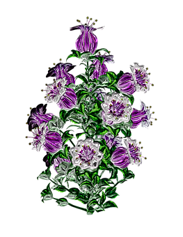 生動紫色花朵藝術作品