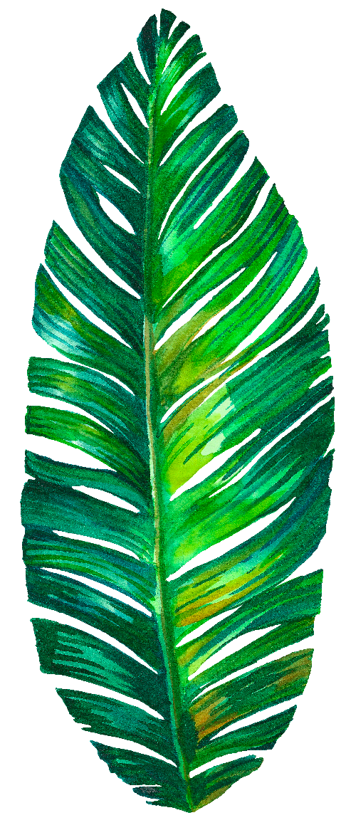 生動綠色棕櫚葉插畫 壁紙 — 一幅充滿活力的水彩畫，描繪了一片帶有紋理筆觸和黃色高光的大型綠色棕櫚葉。