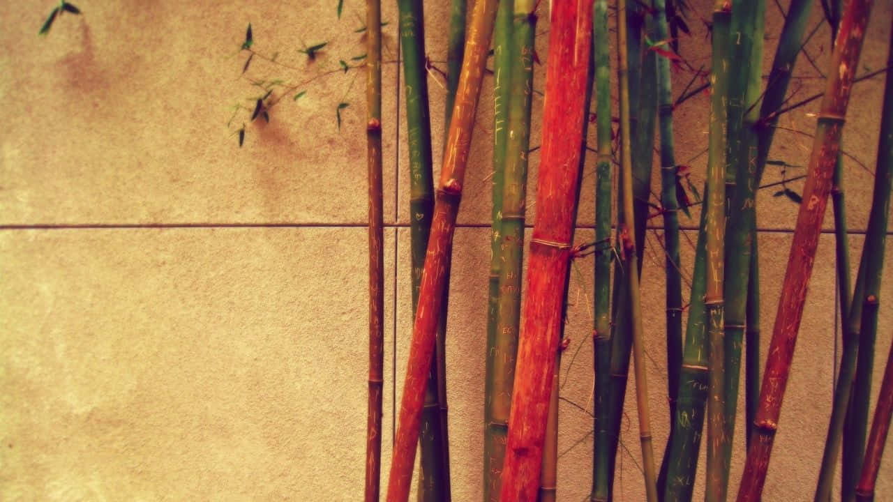高大竹莖，紅色和綠色，襯著米色瓷磚牆。