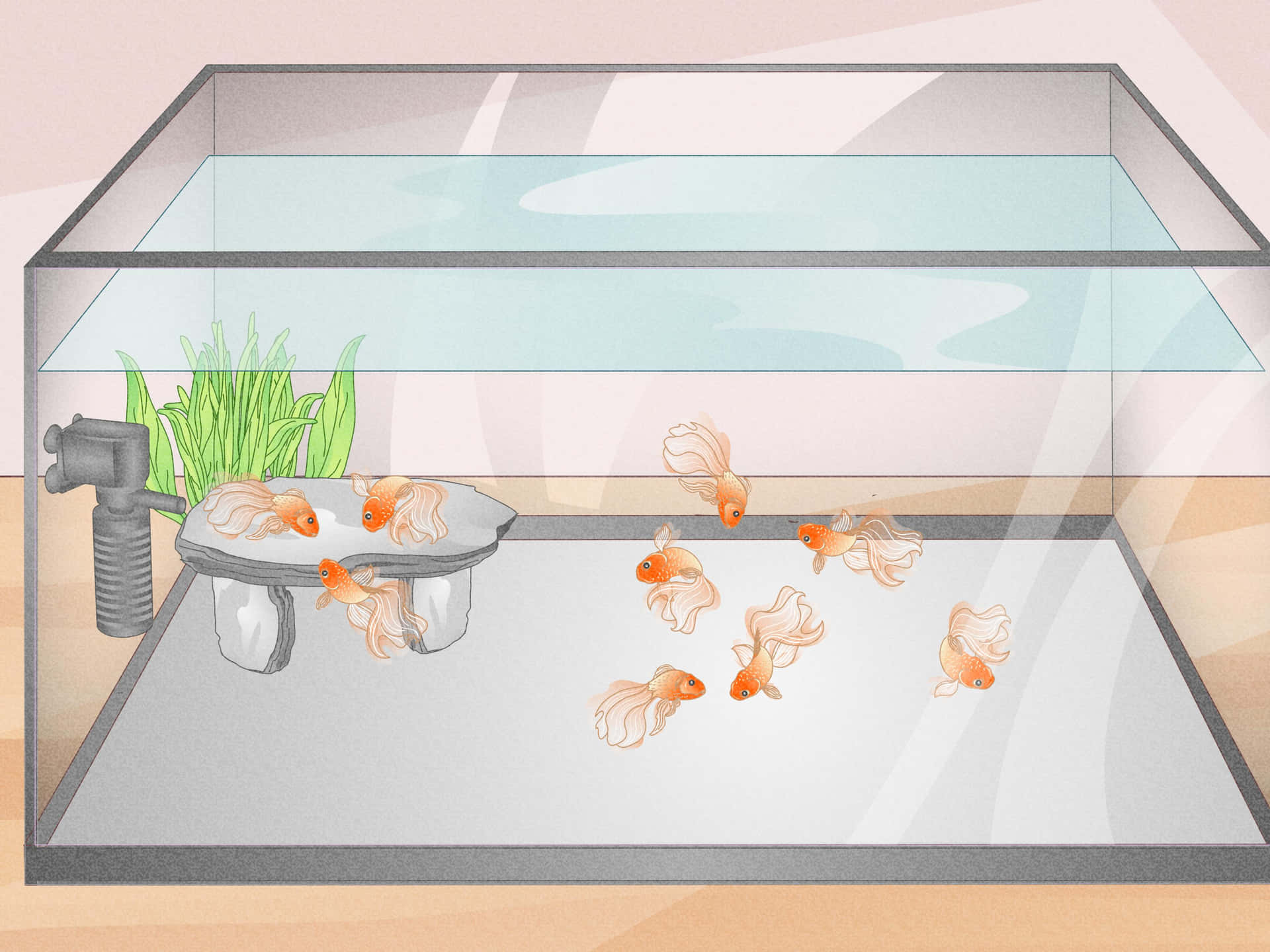 金魚在家用水族箱中與植物和過濾器一起游泳。