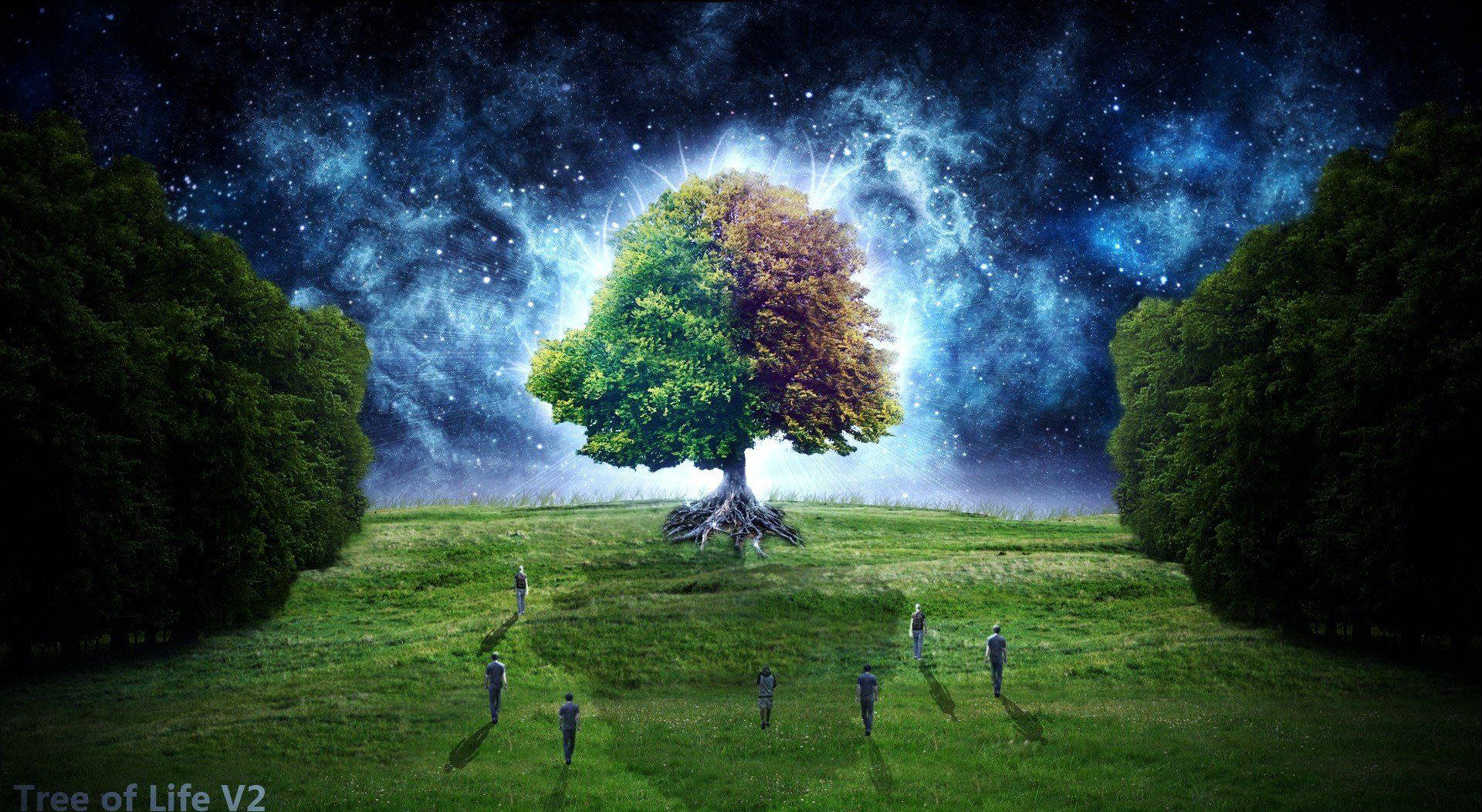 生命之樹桌面壁紙 壁紙 — 一棵發光的宇宙樹，帶有綠色和秋天的葉子，站在長滿草的山丘上，下方是繁星點點的星雲天空，小小的人影正走向它。