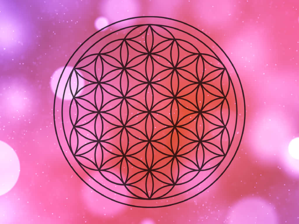 黑色生命之花符號在粉紅紫色發光背景上