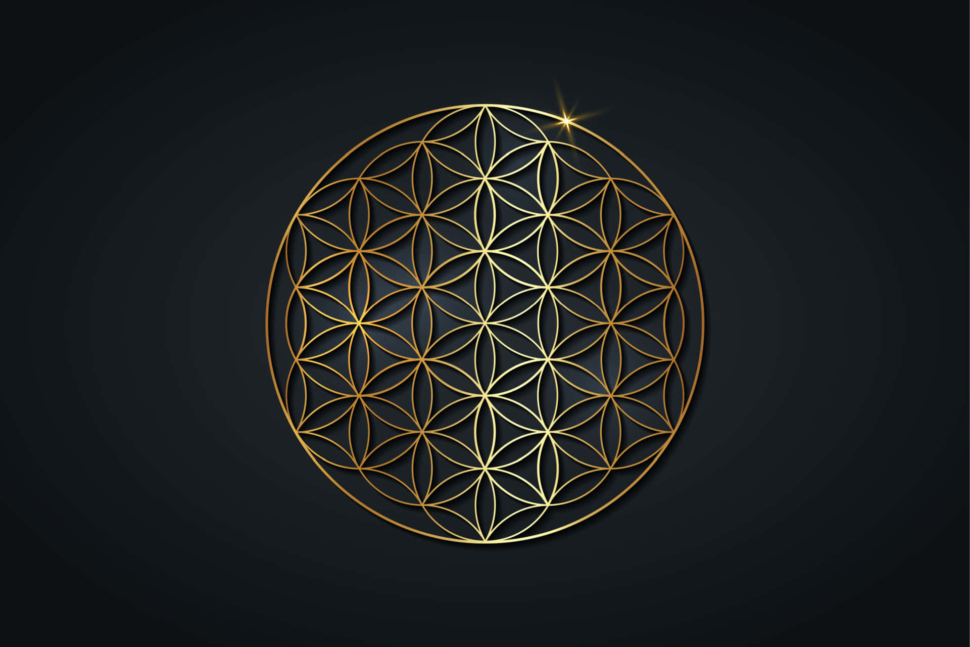 深色背景上的金色生命之花符號，帶有發光的星星