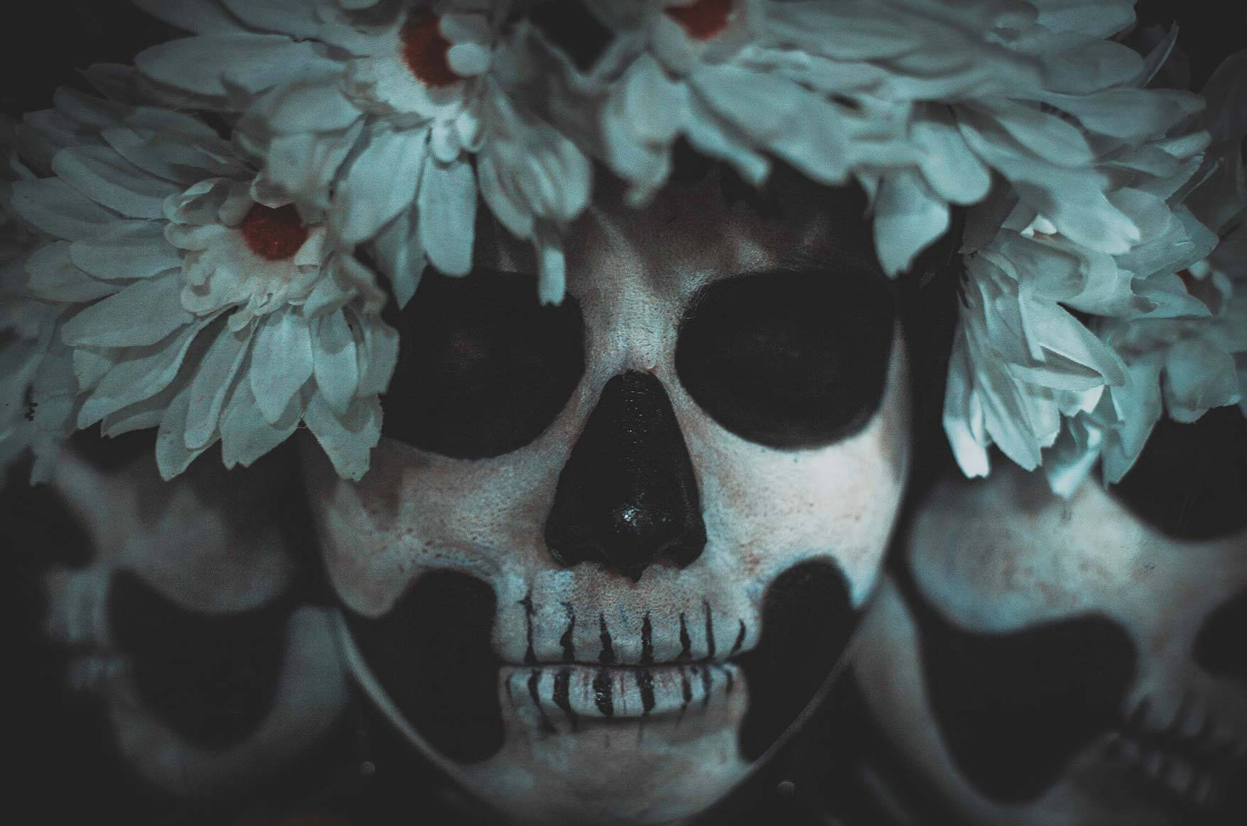 生命是永恆的；無盡循環，但死亡是其中的一部分 壁紙 — 一個裝飾過的頭骨特寫，上面點綴著白色雛菊，背景為深色。