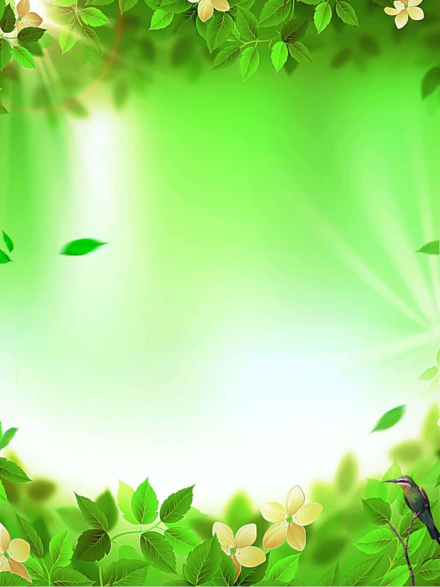 生機盎然的植物近景，喚醒你對大自然之美的回憶。 壁紙 — 一個充滿活力的綠色自然框架，樹葉和花朵在陽光下閃閃發光，一隻蜂鳥棲息在樹枝上。