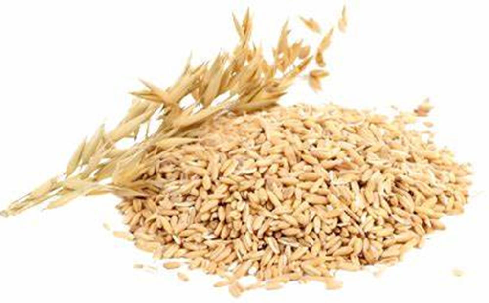 生燕麥原料 壁紙 — 一堆金黃色的生燕麥，上面放著一根燕麥草，背景是純白色。