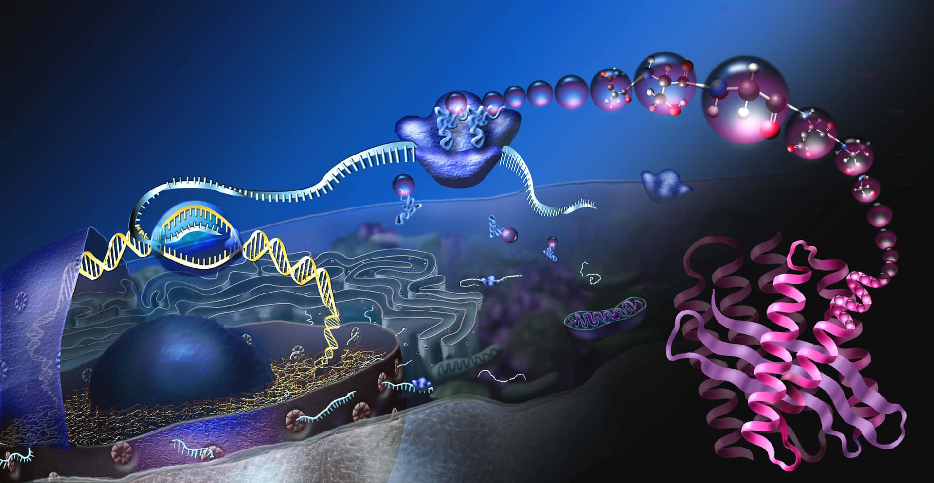 充滿活力的細胞生物學數碼插圖，包含DNA和蛋白質。