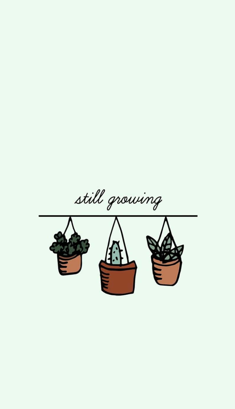 三個懸掛盆栽植物，上方有「still growing」文字。
