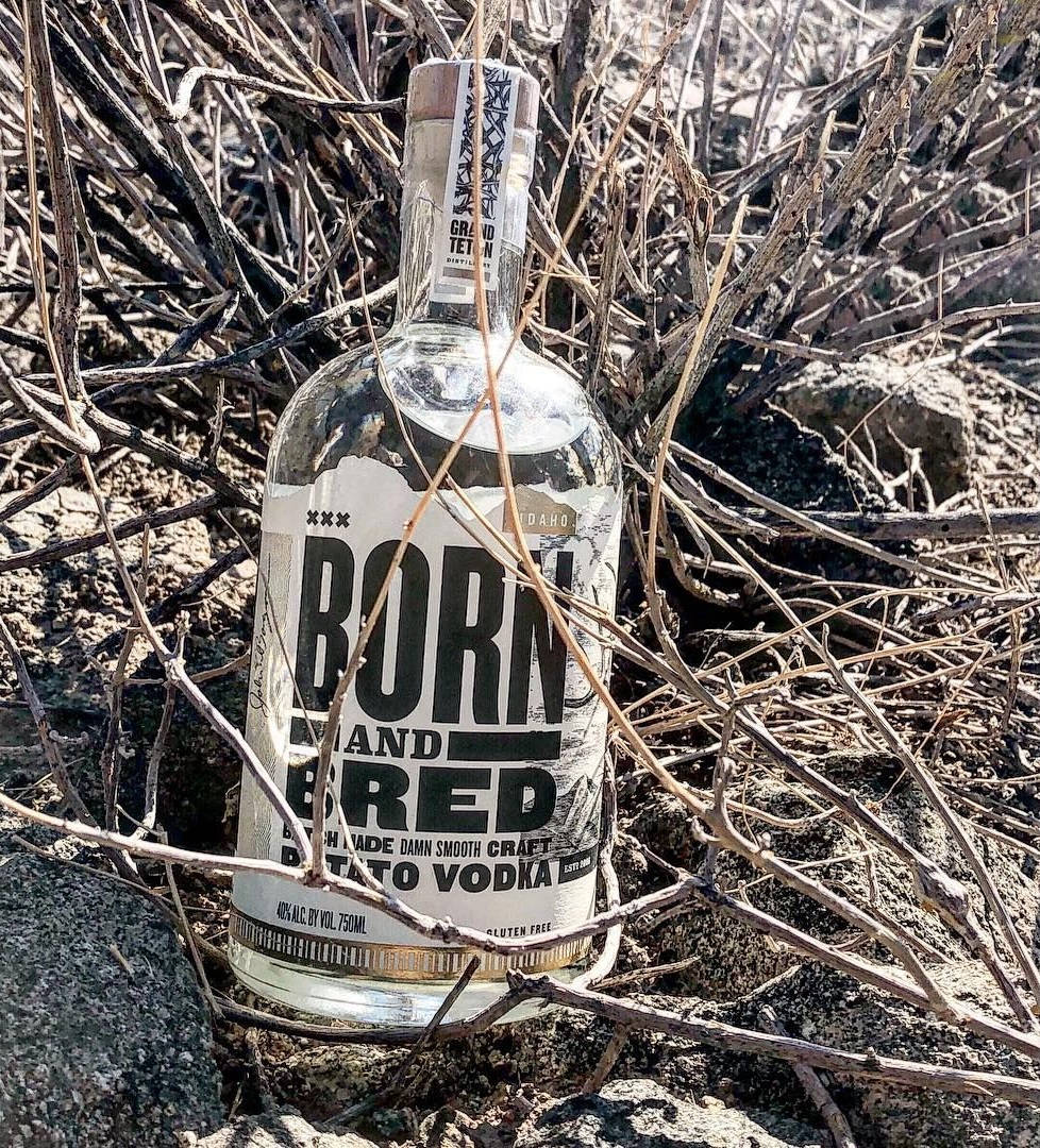 生長於此乾燥植物上的Born And Bred伏特加 壁紙 — 一瓶透明的 Born and Bred 馬鈴薯伏特加酒放置在陽光普照的乾旱景觀中，乾燥纏繞的樹枝之間。