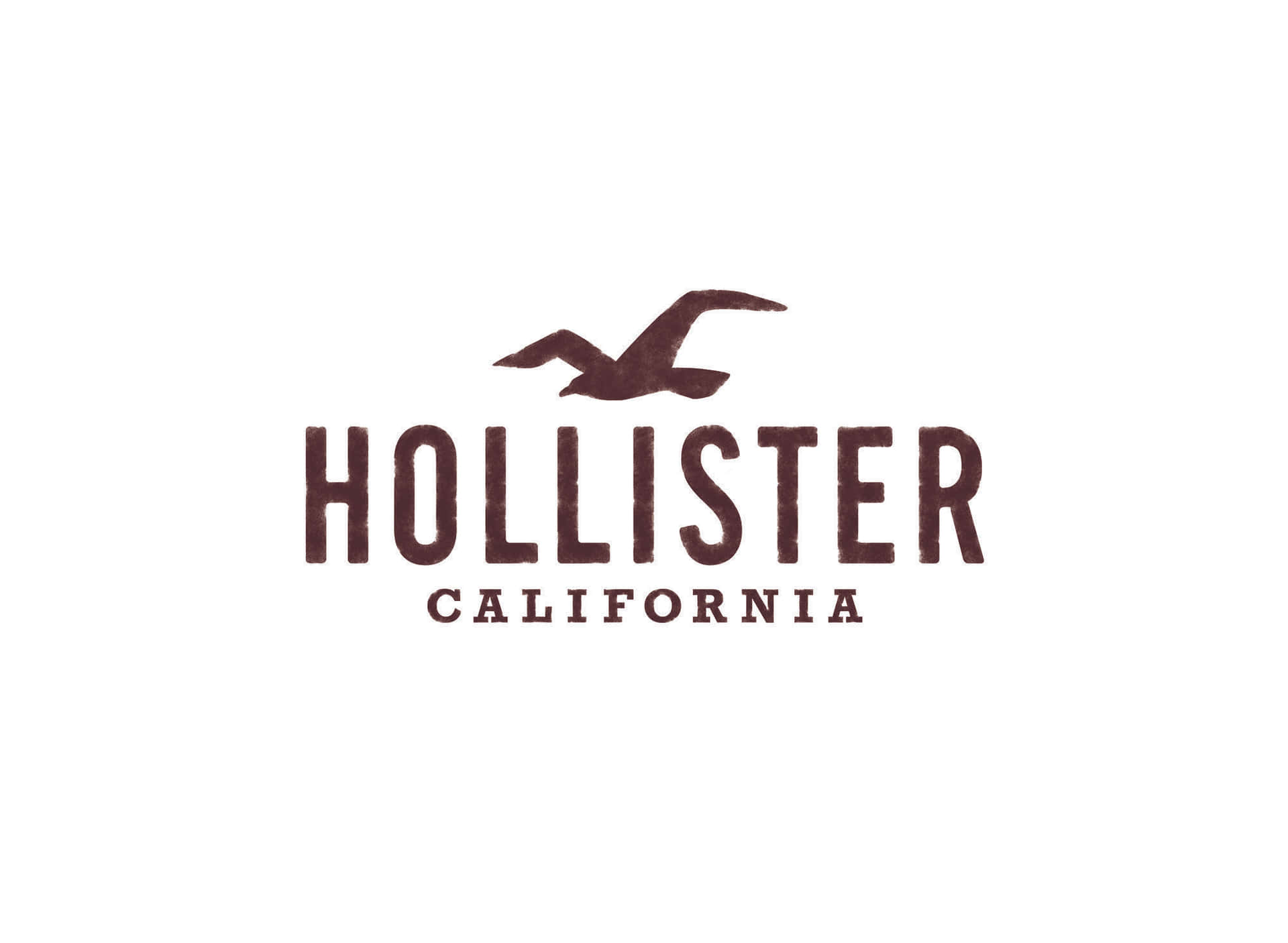 Hollister California 標誌，以棕色紋理字體展示品牌名稱，上方有一隻海鷗。