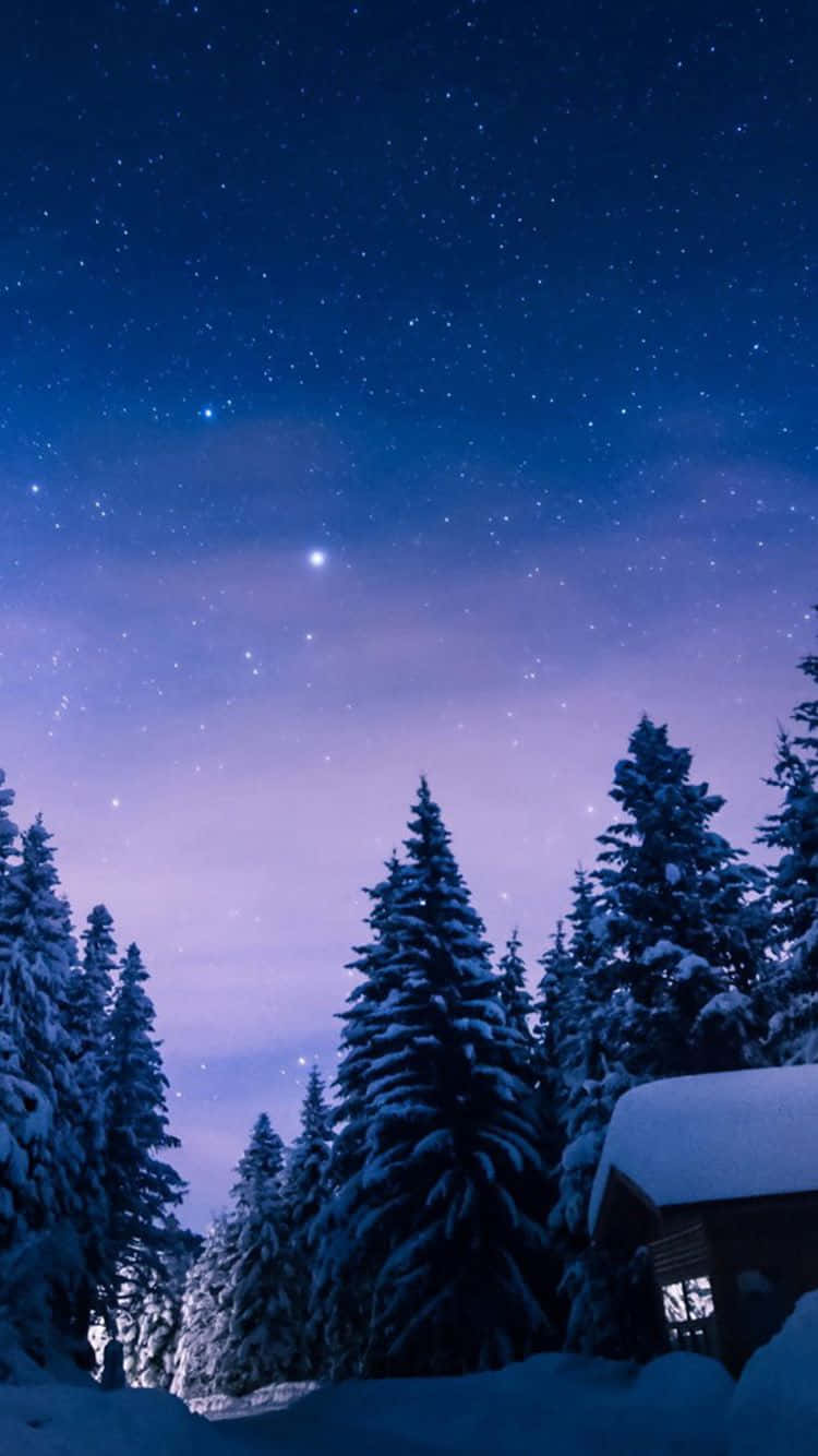 雪中小屋，星空冬日天空，松樹
