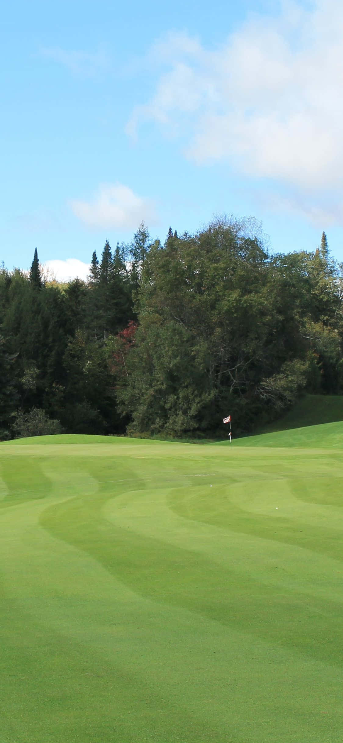 在寧靜的 Golf Course 上，用 iPhone X 打高爾夫 壁紙