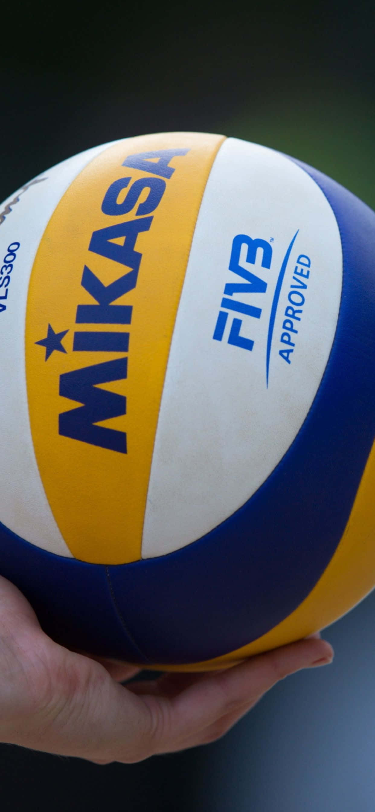 用 iPhone Xs Max 扣殺吧！ 壁紙 — 一隻手拿著Mikasa FIVB認可的排球，帶有藍色、黃色和白色面板的特寫。