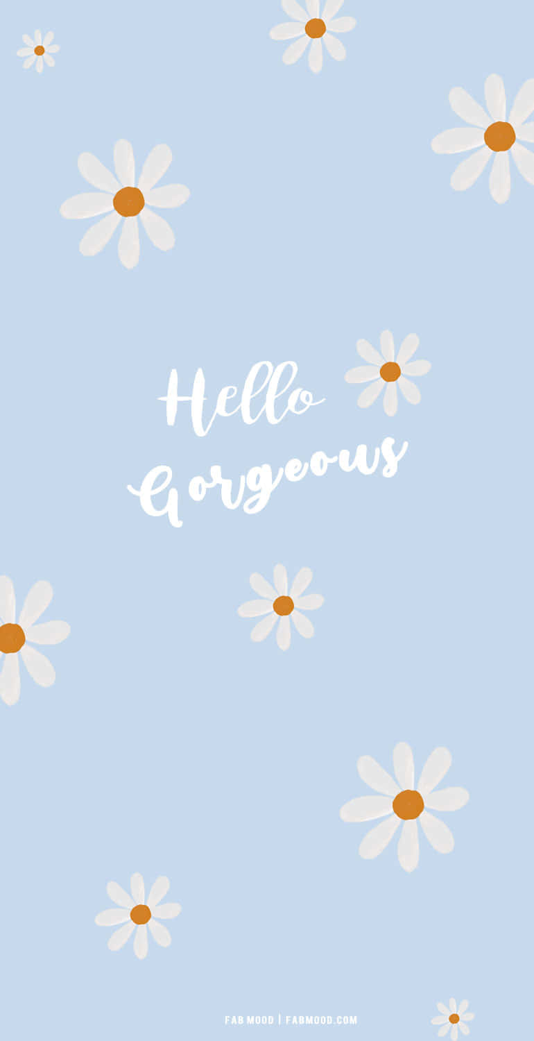 白色雛菊帶橙色花心，在藍色背景上漂浮，並有 hello gorgeous 文字。