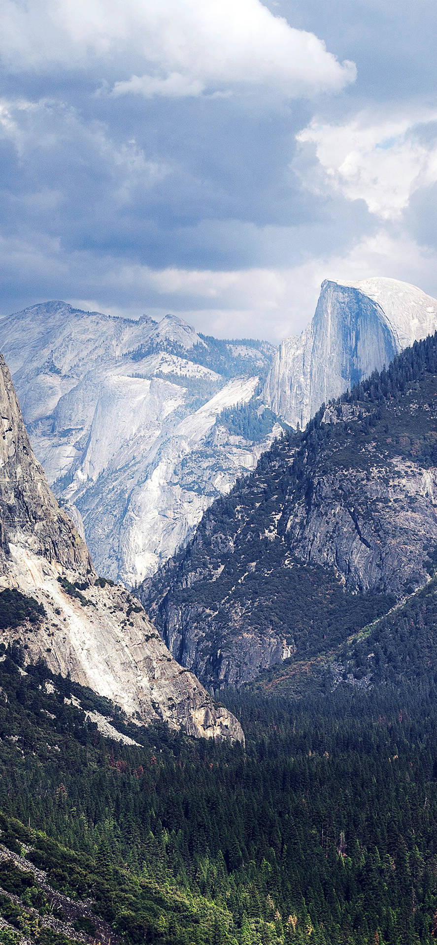 Half Dome 山，有雪和森林，陰天