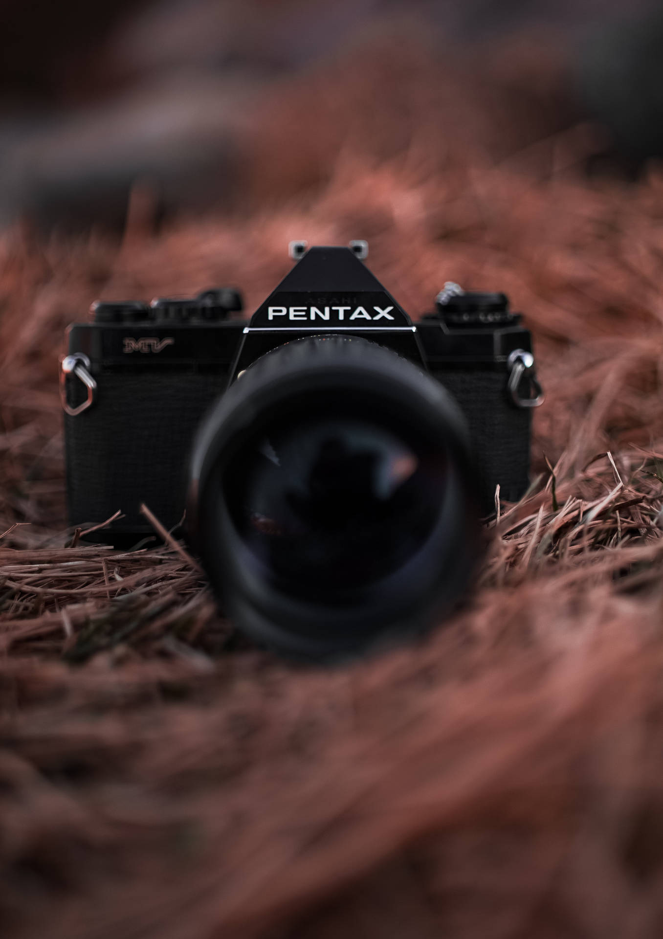 黑色 Pentax 菲林相機放在松針上，景深較淺。