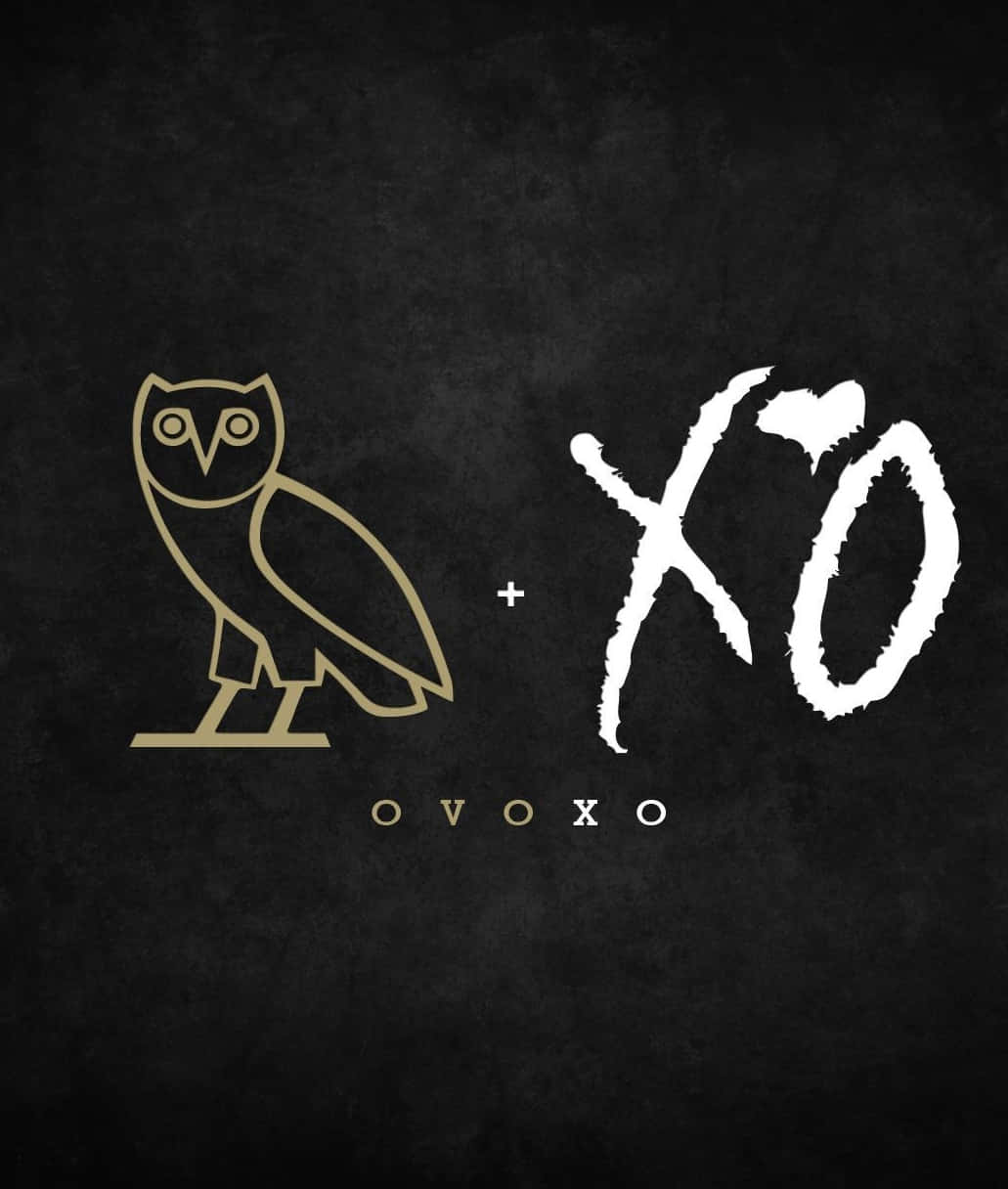 金色貓頭鷹標誌和白色 XO 文字，黑色紋理背景