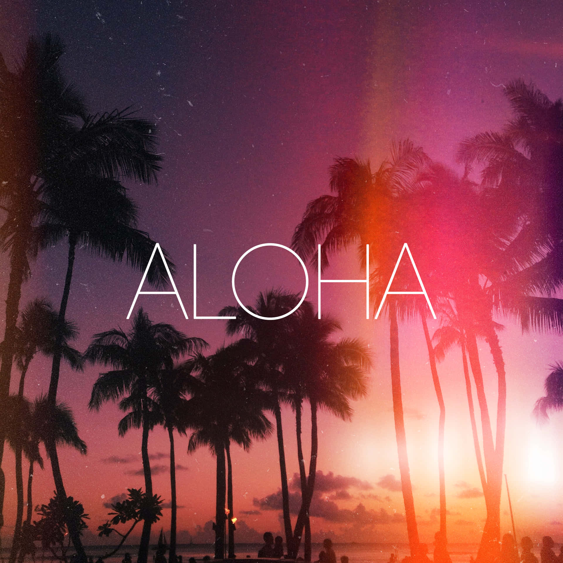 棕櫚樹在色彩繽紛的日落襯托下形成剪影，沙灘上有人和「aloha」字樣。
