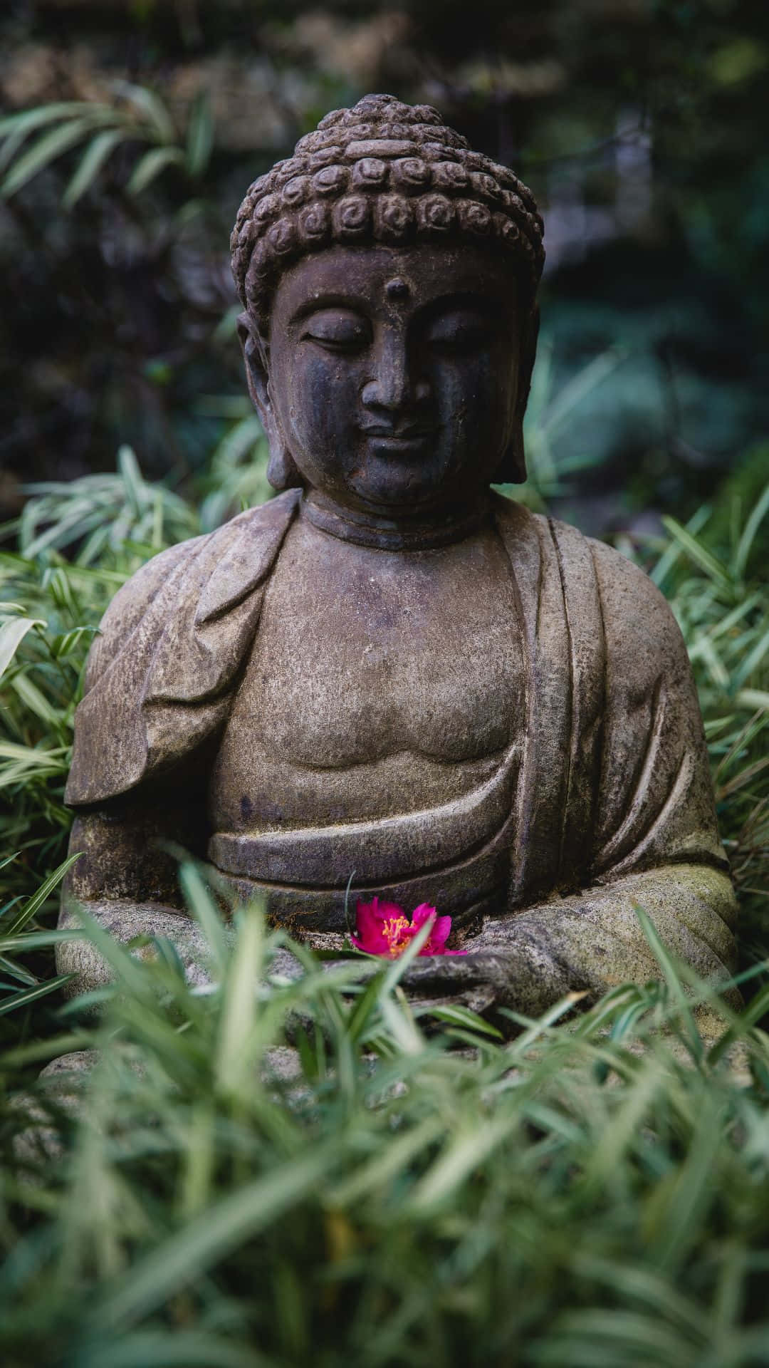 花園中的石佛像，膝上放著粉紅色花朵
