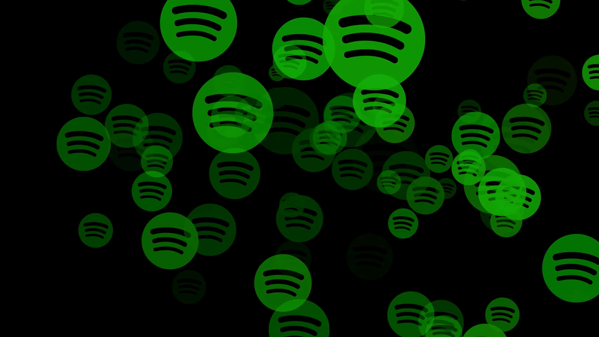 用Spotify探索全球音樂 壁紙 — 浮動的綠色Spotify標誌以不同的不透明度和大小在黑色背景上飄浮。
