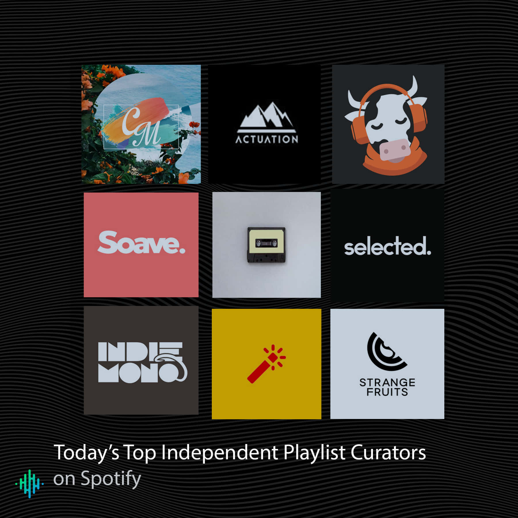 黑色波浪背景上九個獨立音樂播放清單策展人標誌的網格，帶有Spotify文字。
