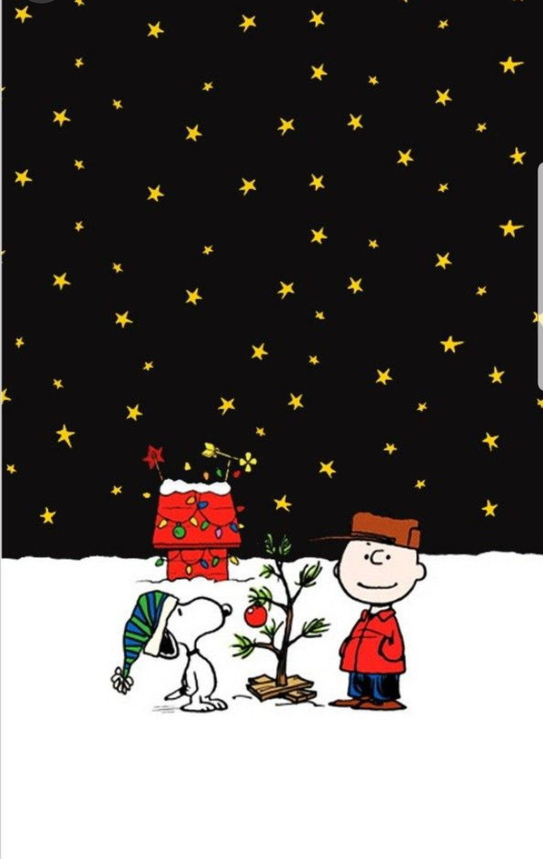 查理布朗和史努比在星空和雪中看著一棵小聖誕樹。