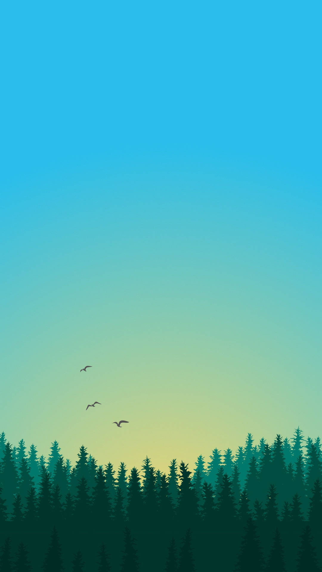 三隻鳥在黃昏時飛過松樹林。