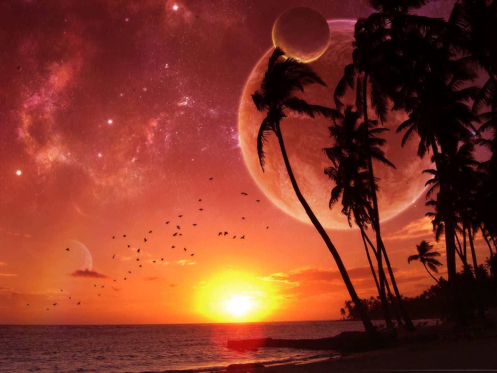 熱帶海灘日落，棕櫚樹和多個月亮在星空下。